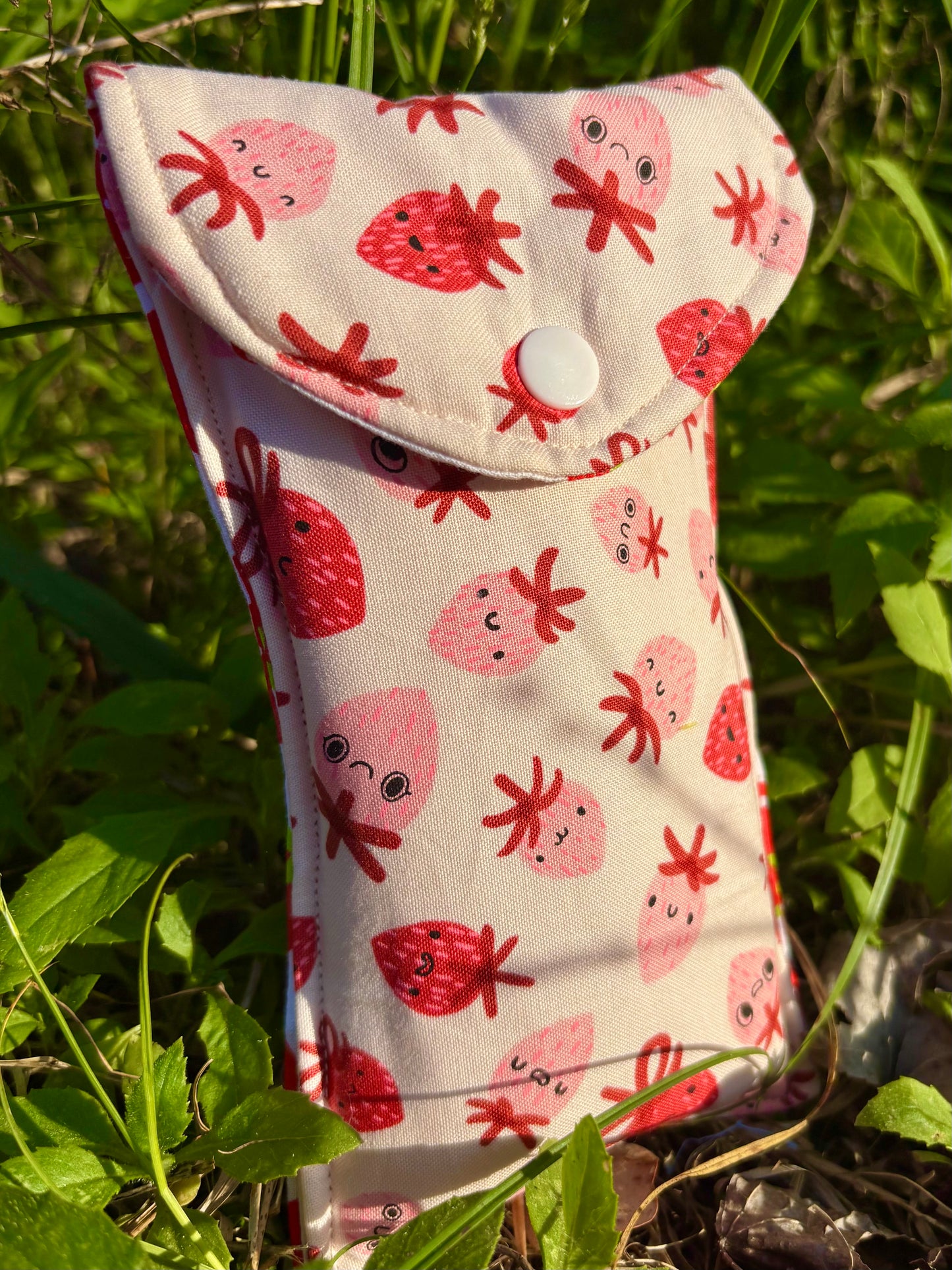 Sunglasses Case